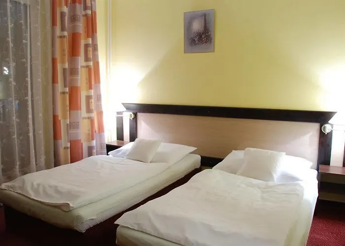 호텔 아들러 체스케부데요비체