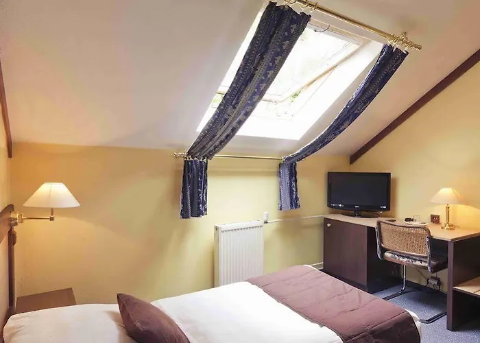 아들러 체스케부데요비체